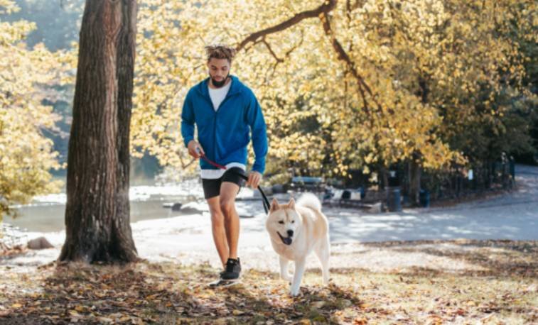 Training an Independent Primitive Dog