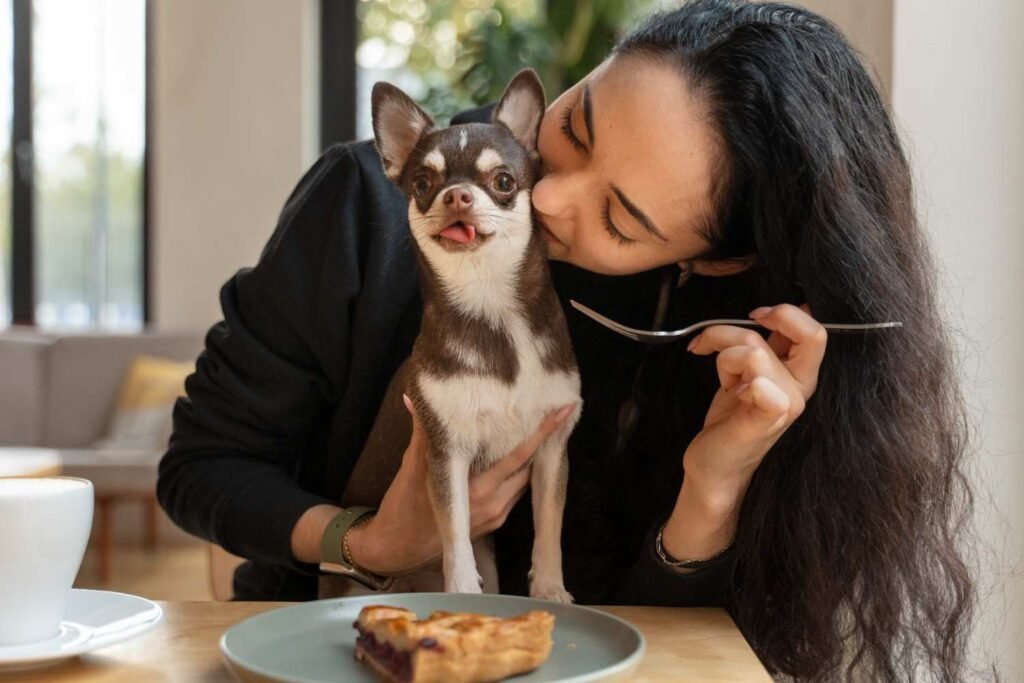 Best Sensitive-Stomach Dog Food for Chihuahuas