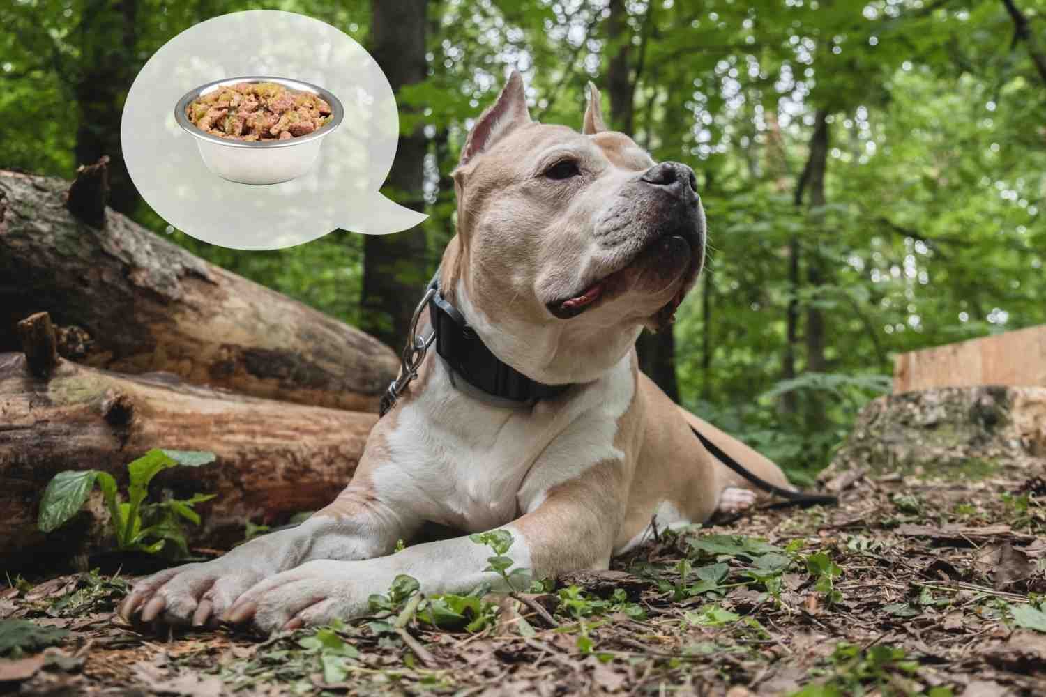 Is Royal Canin Ultamino Best for Severe Allergies?