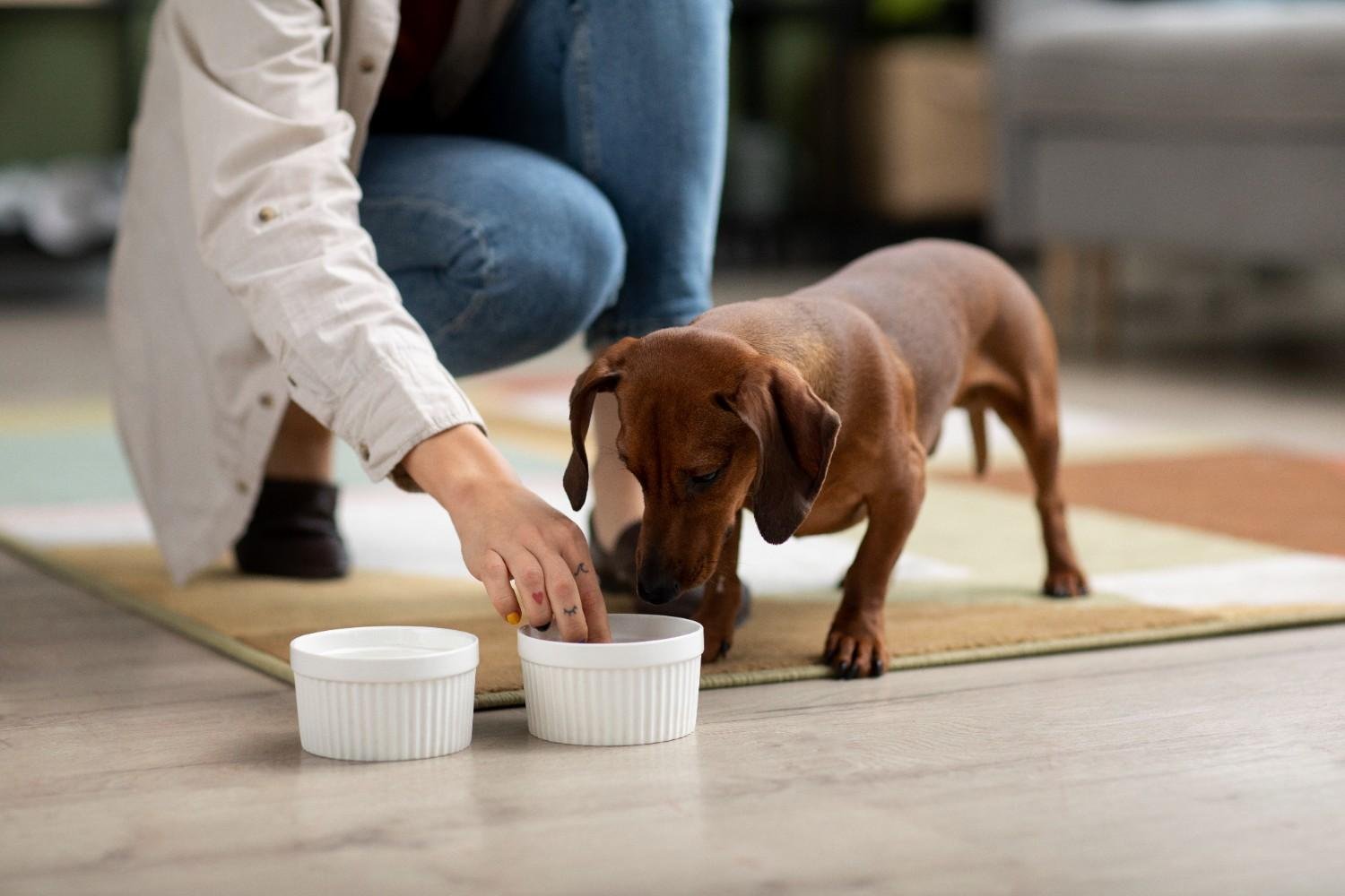 Dog Feeding Chart by Weight in Pounds: Find the Perfect Bowlful