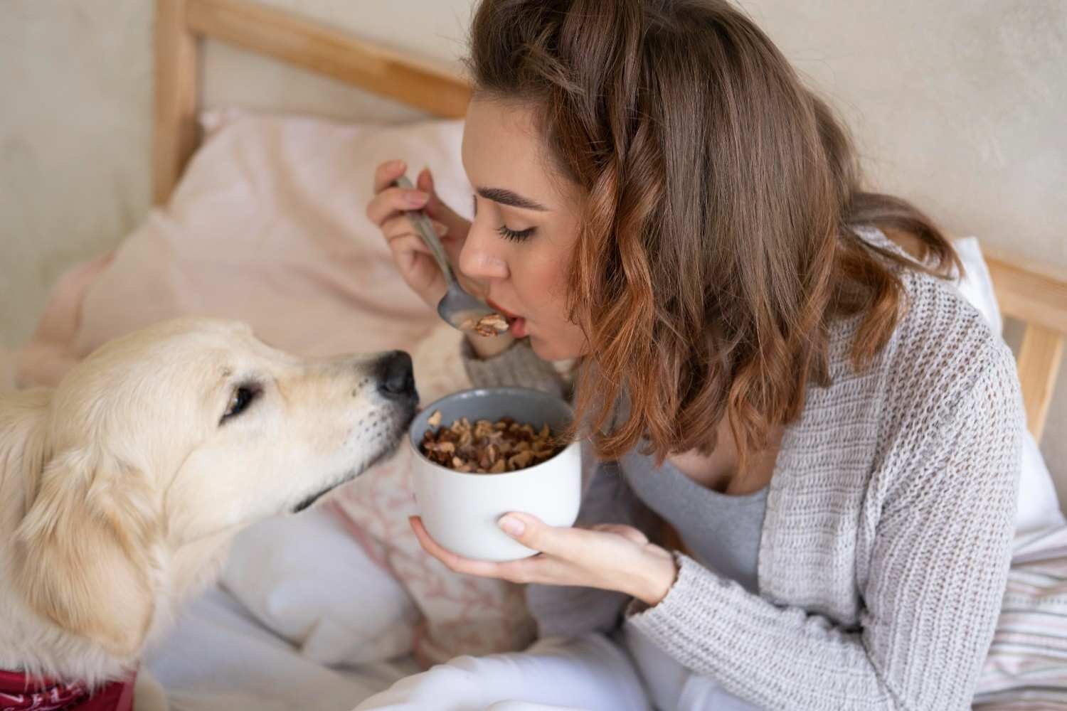 Adult Maintenance Food
