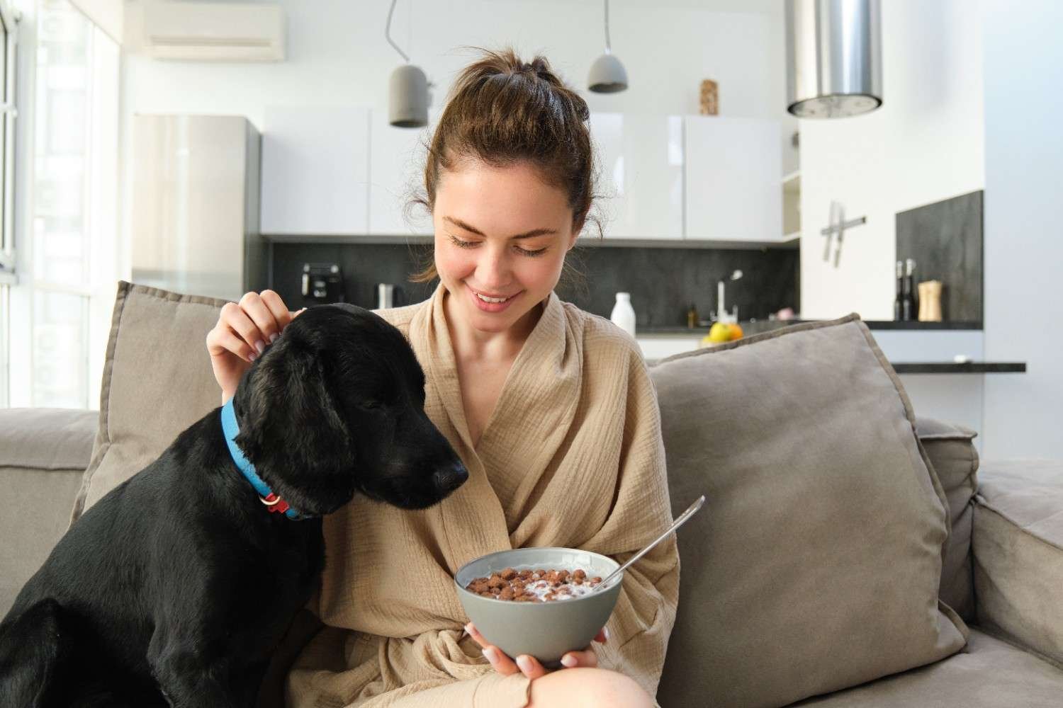 Healthy Human Food Toppers for Dog Kibble