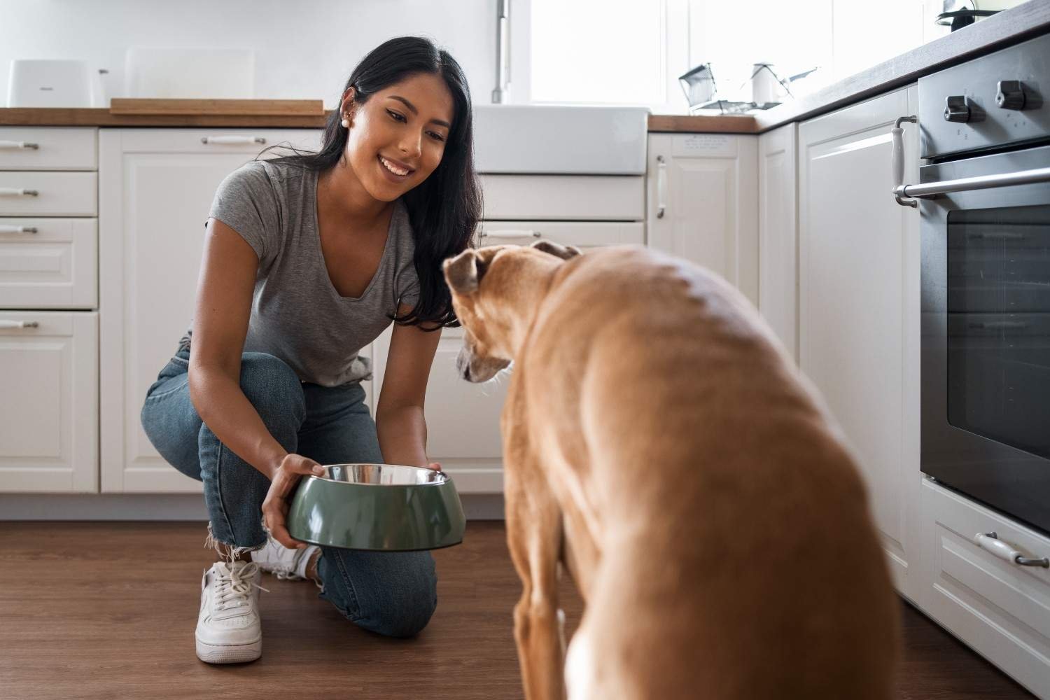 Can Fresh, Raw, or Homemade Food Meet the Standard?